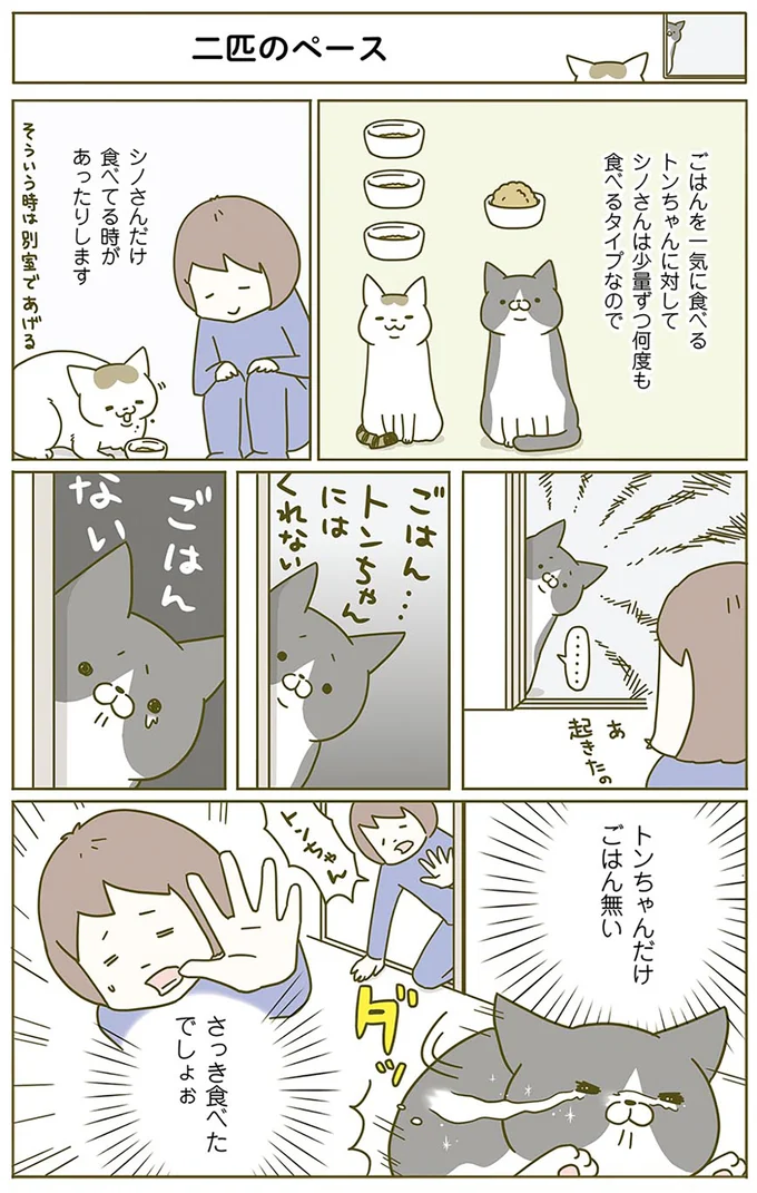 二匹のペース