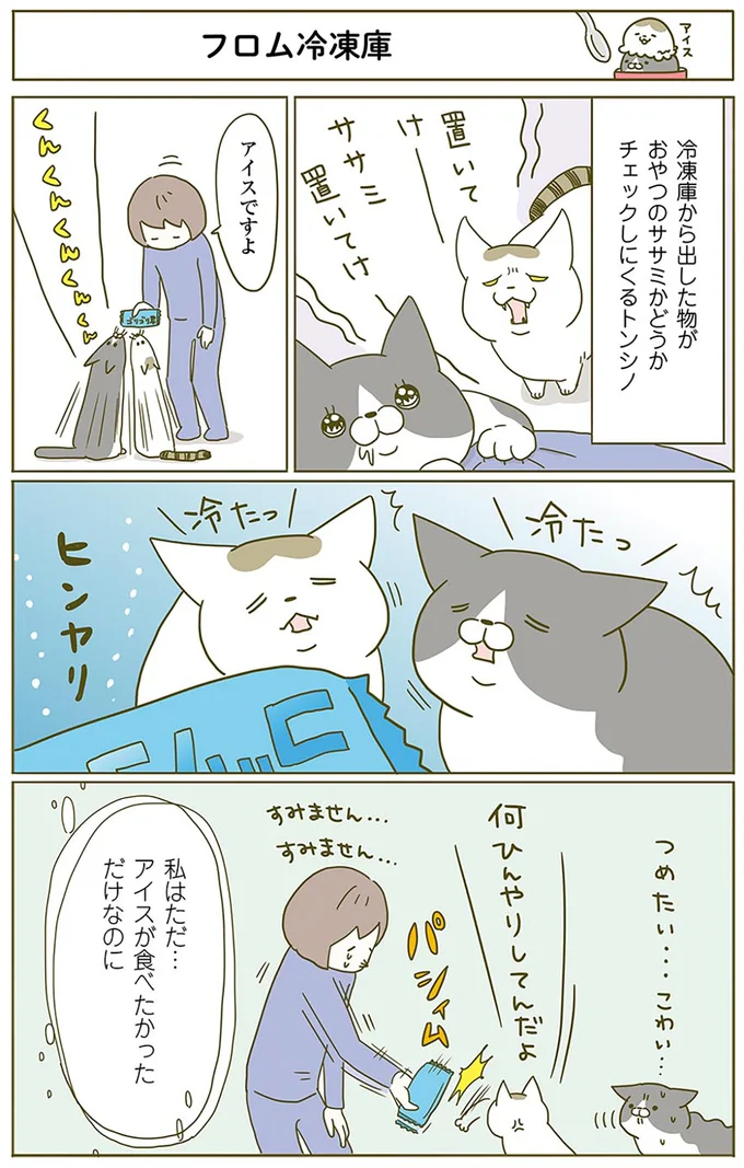 アイスが食べたかっただけなのに