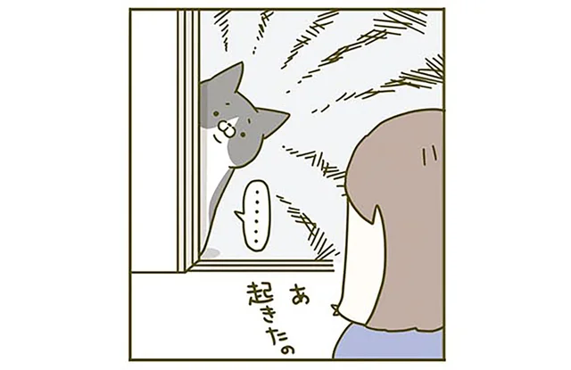 食べるペースが異なる猫たち。「ぼくだけごはん無い」一気食いタイプの猫の悲劇／うちの猫がまた変なことしてる。2（9）