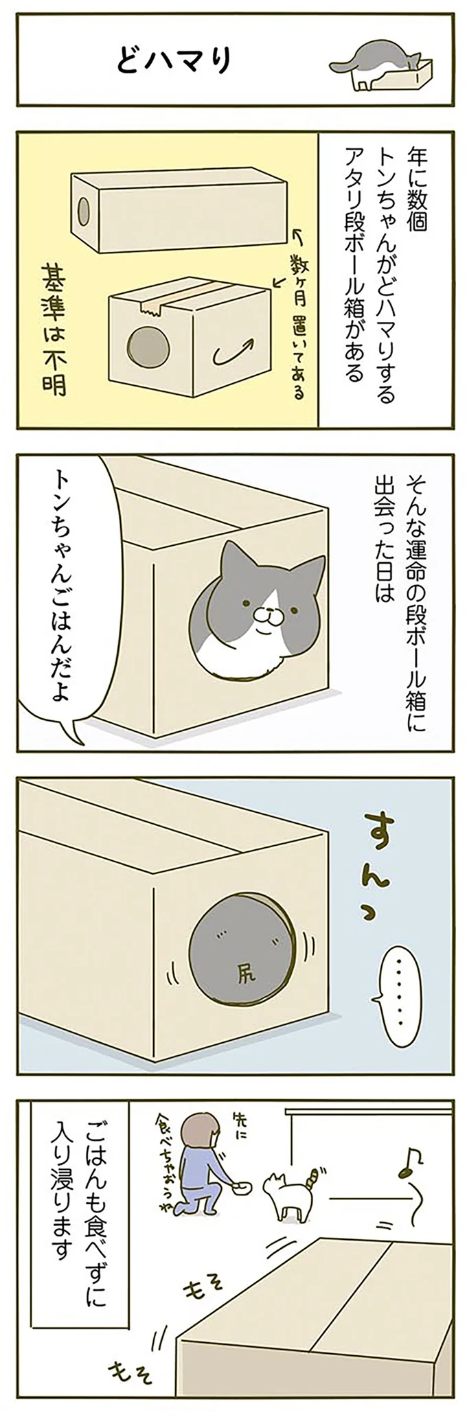 運命の箱に出会った日は