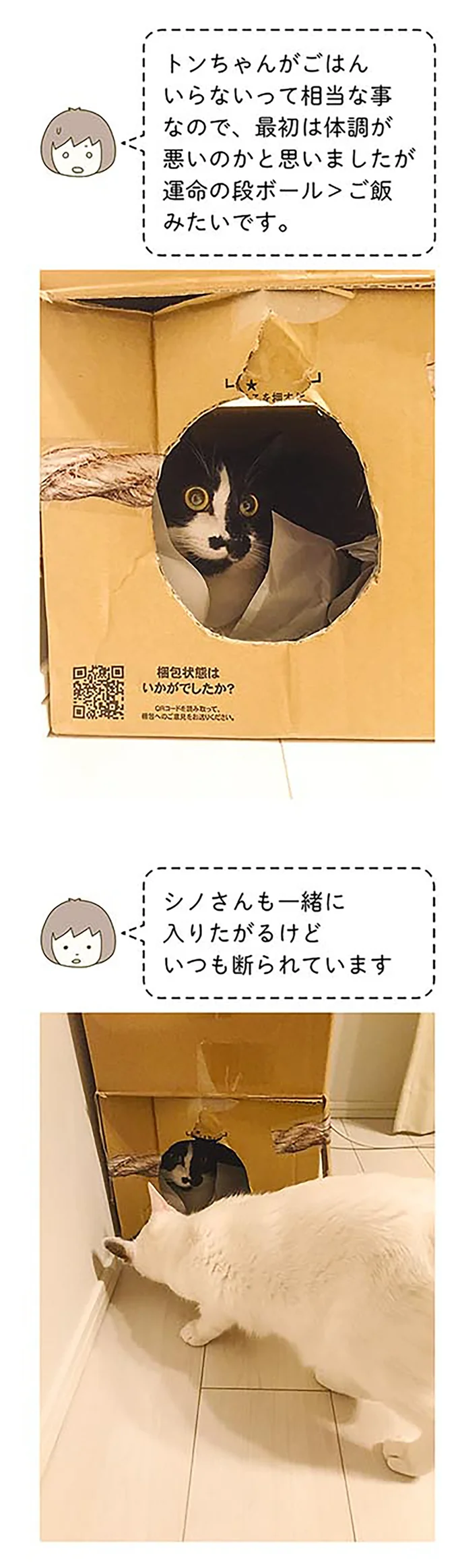 体調が悪いのかと思ったが