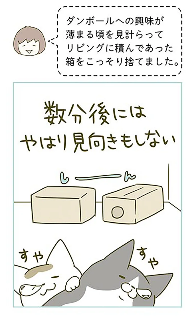こっそり捨てました