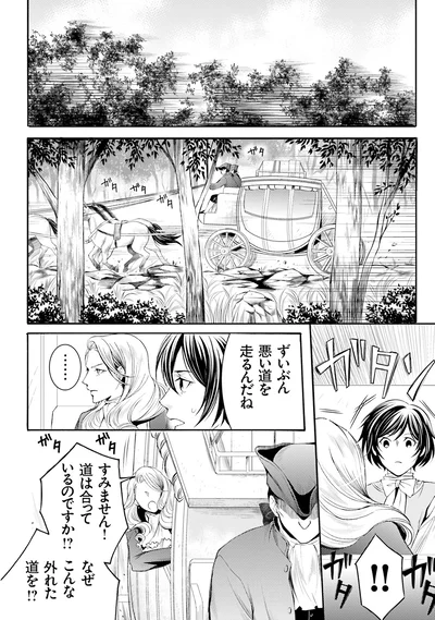 ずいぶん悪い道を走るんだね