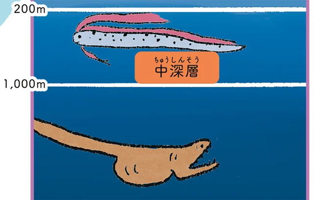 「海」ってどんな世界？ 地球表面積の7割を占める海は、広さだけじゃなく深さもすごい！／すごすぎる海の生物の図鑑（1）