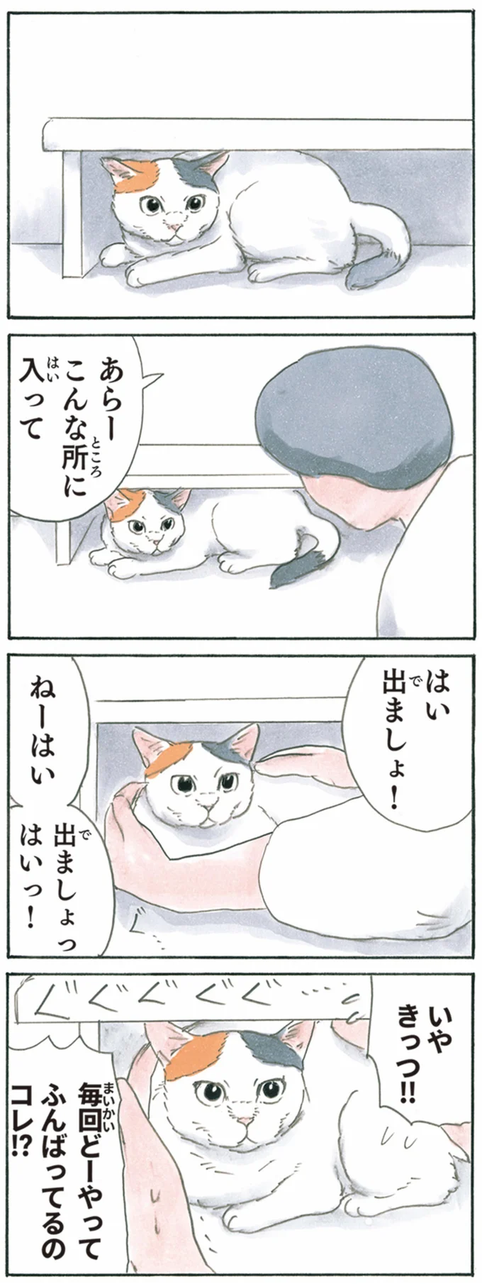  出ましょ！