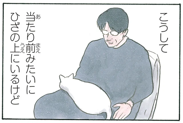 ひざの上で猫がくつろいでいる。当たり前のようで違う幸せを噛みしめる飼い主／拾い猫のモチャ8（2）