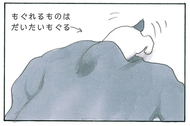 潜れるものにはとりあえず潜る！ しかし出口が見当たらず脱出できなくなる子猫／拾い猫のモチャ8（3）