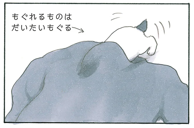 もぐれるところあらば