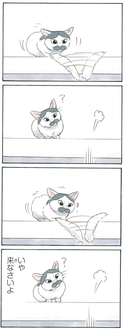 来なさいよ