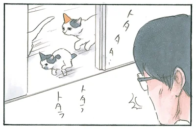 撫でているはずの猫たちが