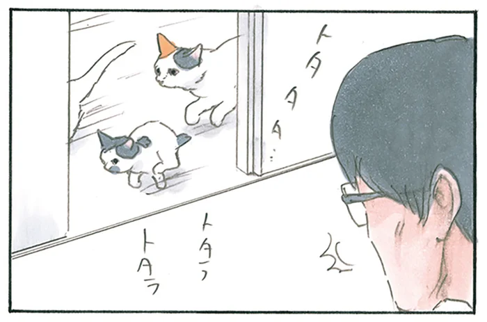 布団が膨らんでる！ 猫がいると思って撫でていたら、元気に廊下を走っているのが見えて／拾い猫のモチャ8（5）