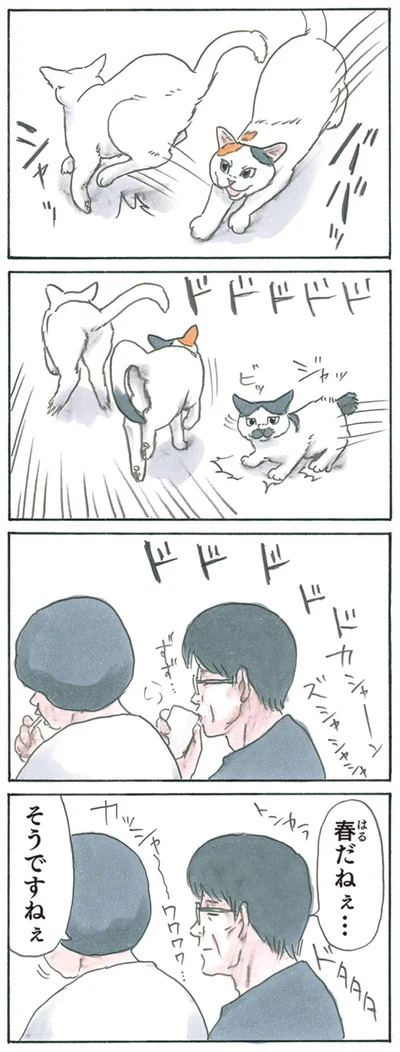  春だねぇ…