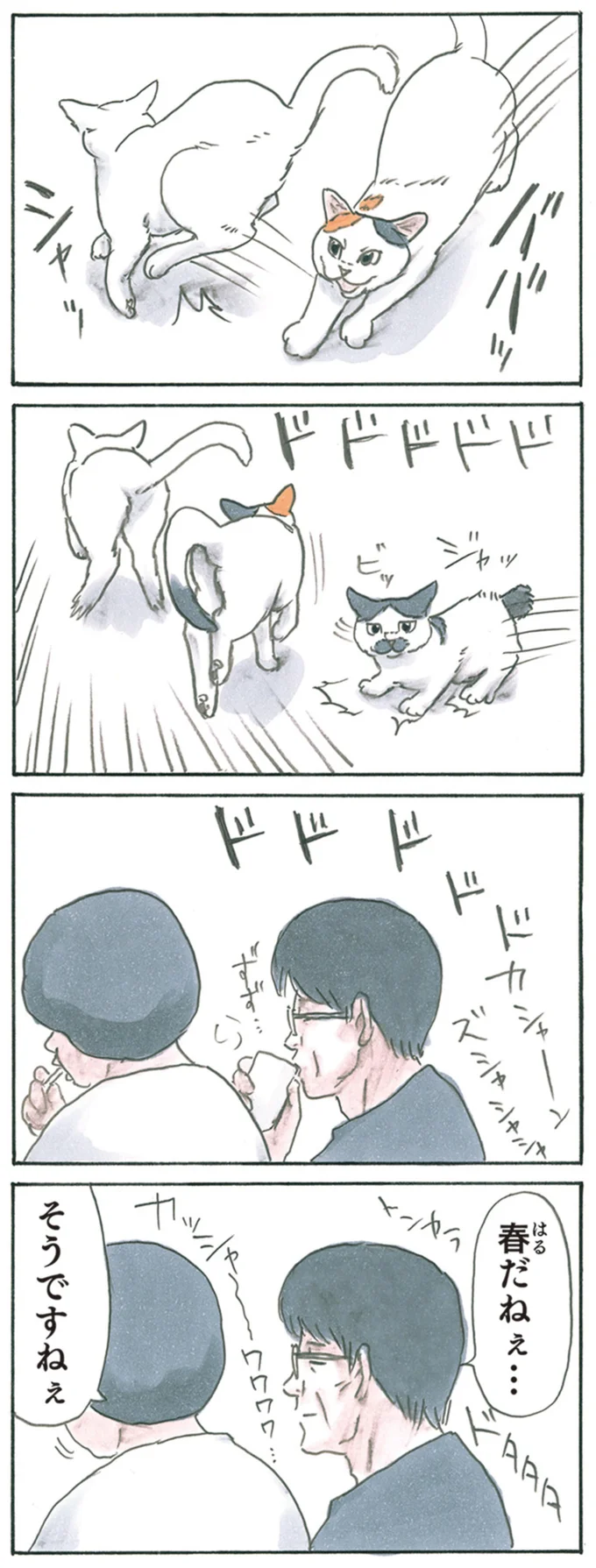  春だねぇ…