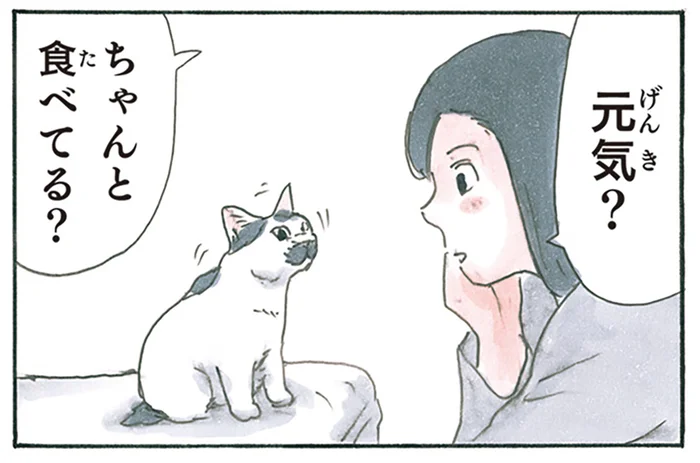 「元気？ ちゃんと食べてる？」喋りたそうにしている子猫と飼い主の会話／拾い猫のモチャ8（6）