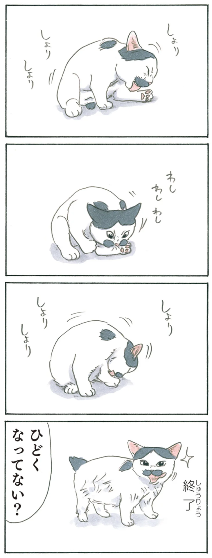本当に今の状態でいいの？ 毛並みを整えていたはずの子猫が