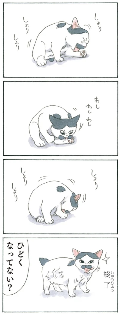 しょりしょり