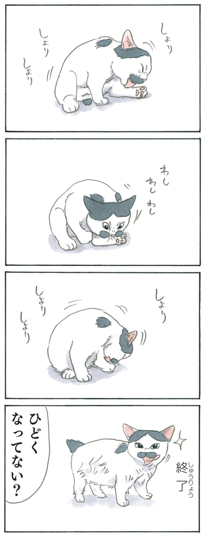 しょりしょり