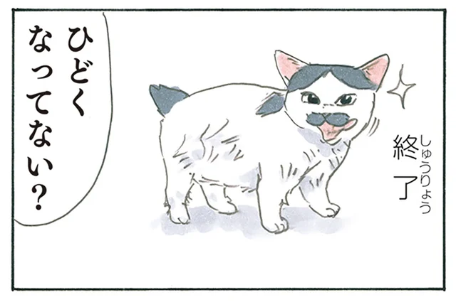 本当に今の状態でいいの？ 毛並みを整えていたはずの子猫が不器用だった話／拾い猫のモチャ8（7）