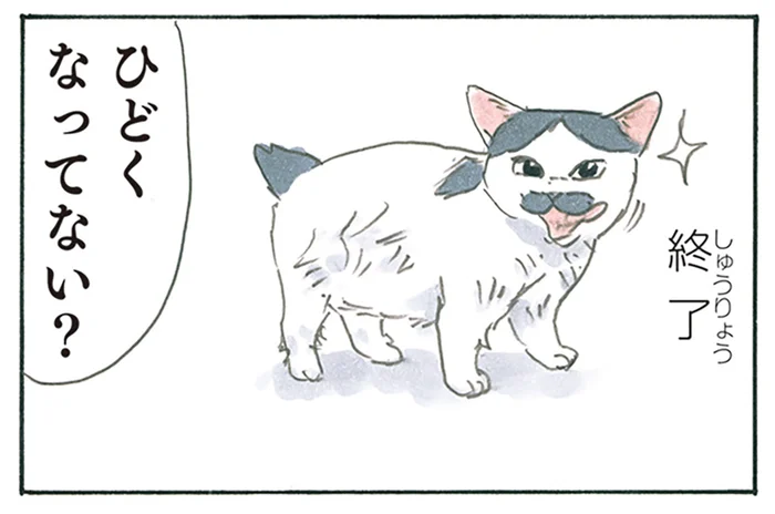 本当に今の状態でいいの？ 毛並みを整えていたはずの子猫が不器用だった話／拾い猫のモチャ8（7）