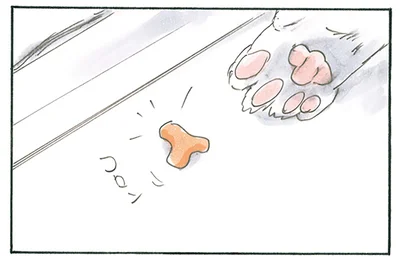 溝から出てきたカリカリ