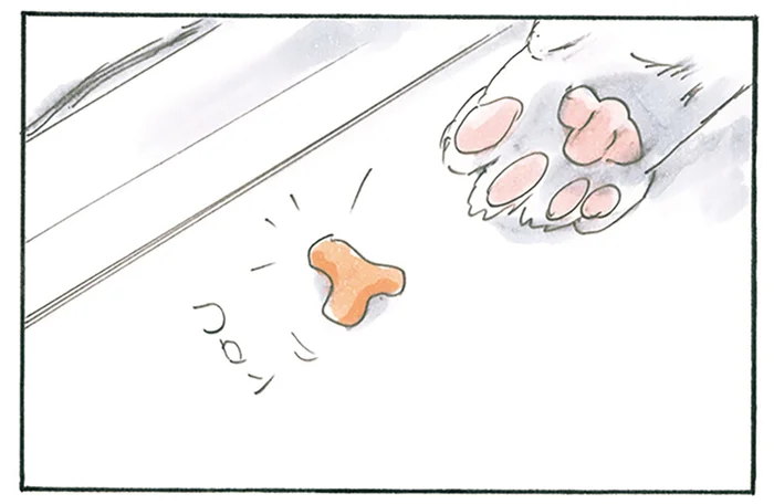 熱心に溝をほじっている猫。コロンと出てきたのは先ほど飛んでいったカリカリで／拾い猫のモチャ8（8）