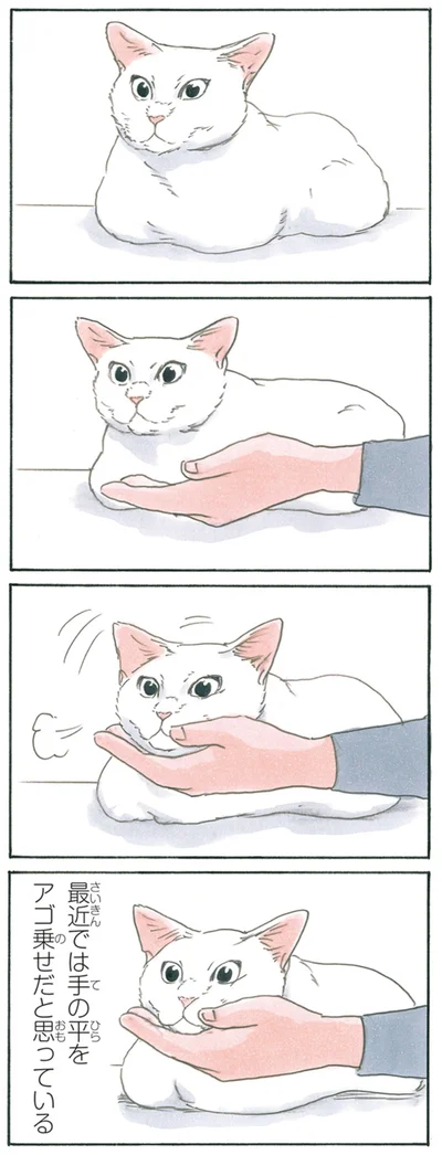 ぽふっ