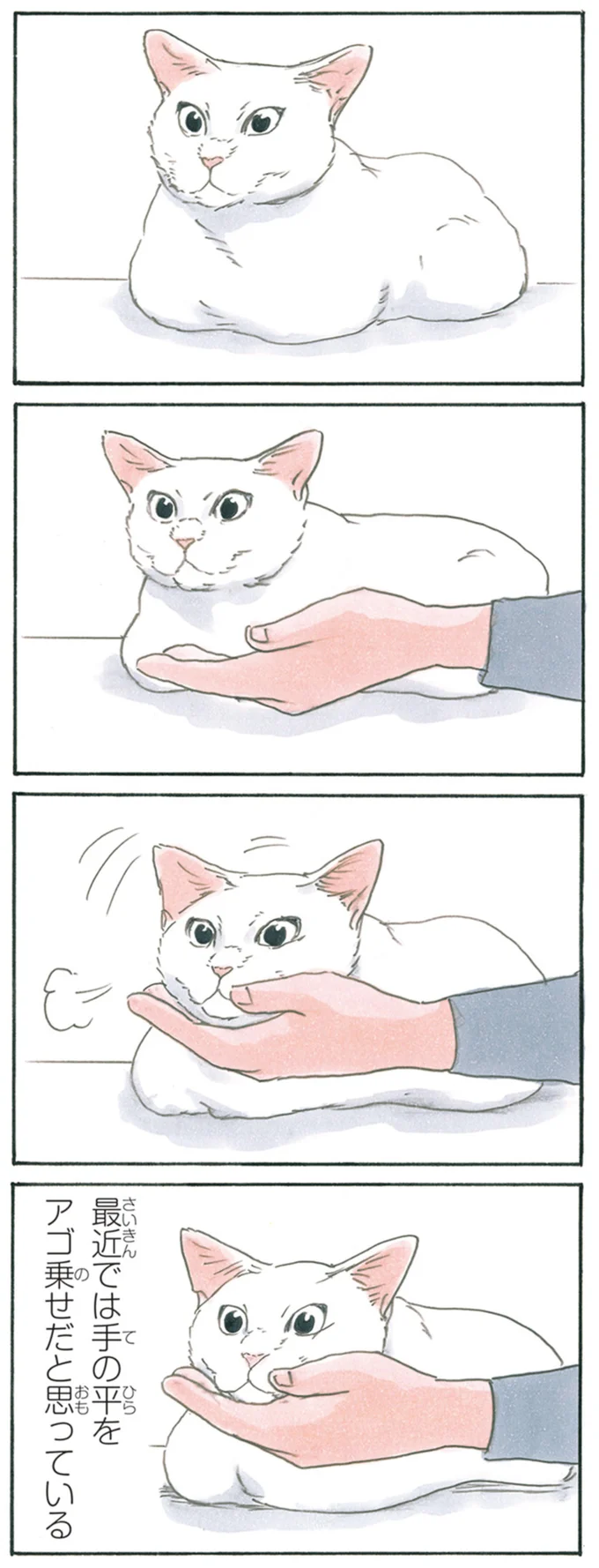 ぽふっ