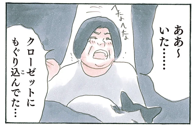 まさか外に？ 朝から行方不明の子猫を探していたら、かわいらしい姿で見つかりました／拾い猫のモチャ8（9）