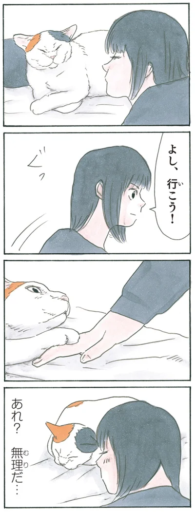 あれ？