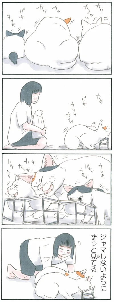 ずっと見てる