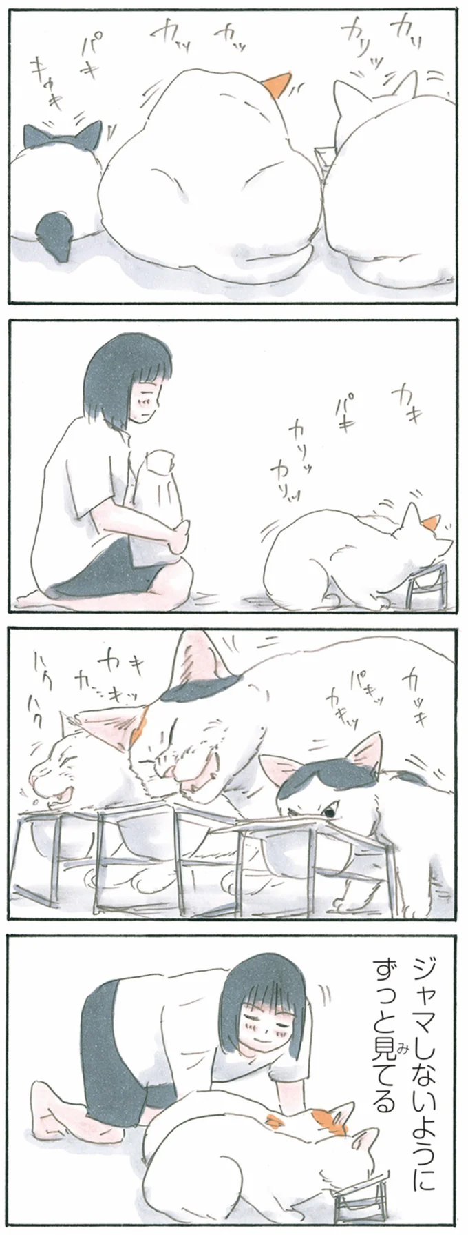 ずっと見てる