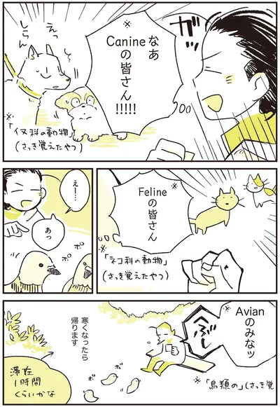 寒くなったら帰ります