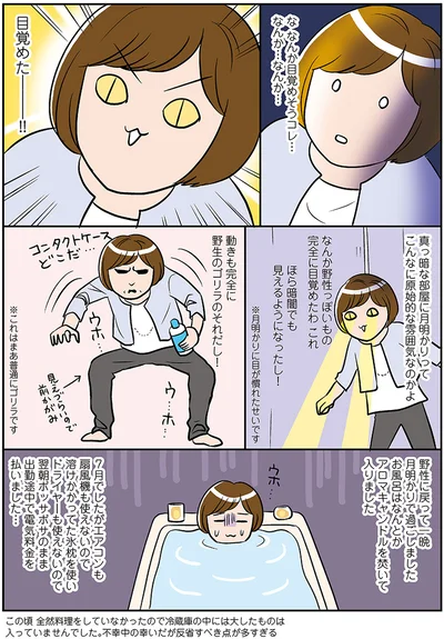 『ひとりぐらしもプロの域』より