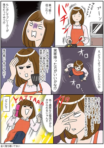 『ひとりぐらしもプロの域』より
