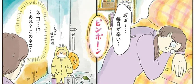 「元気出せ！」と言われているよう。毎日がツライ女性に届いた「水曜日の鮭ハラス丼いくらのせ」