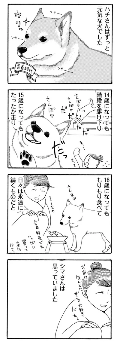 日々は永遠に続くものだと
