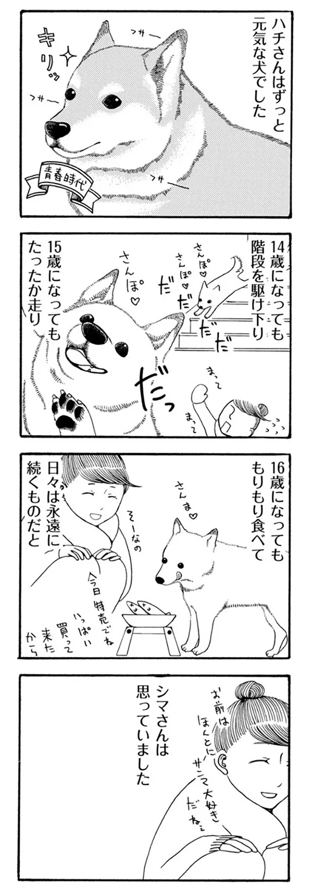日々は永遠に続くものだと