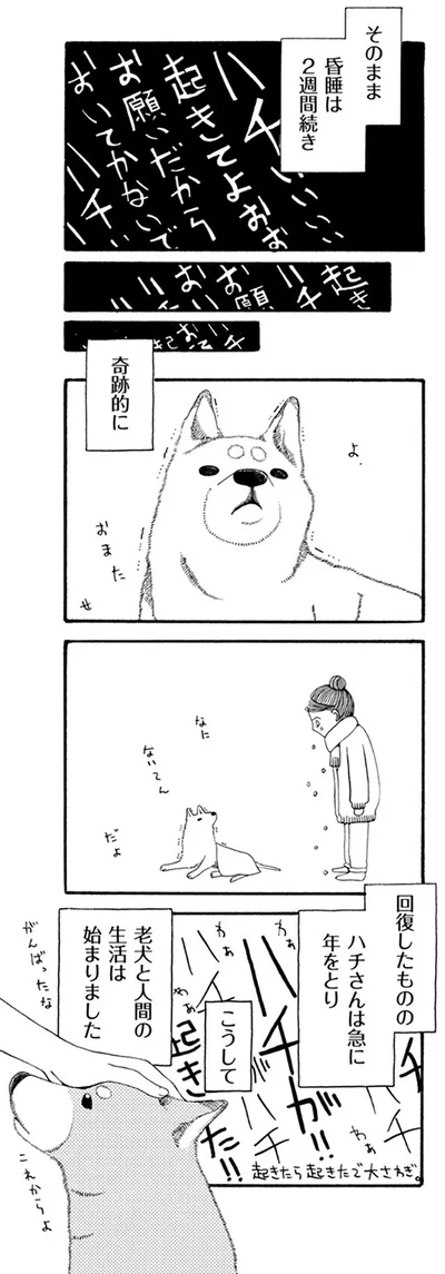 急に年をとり