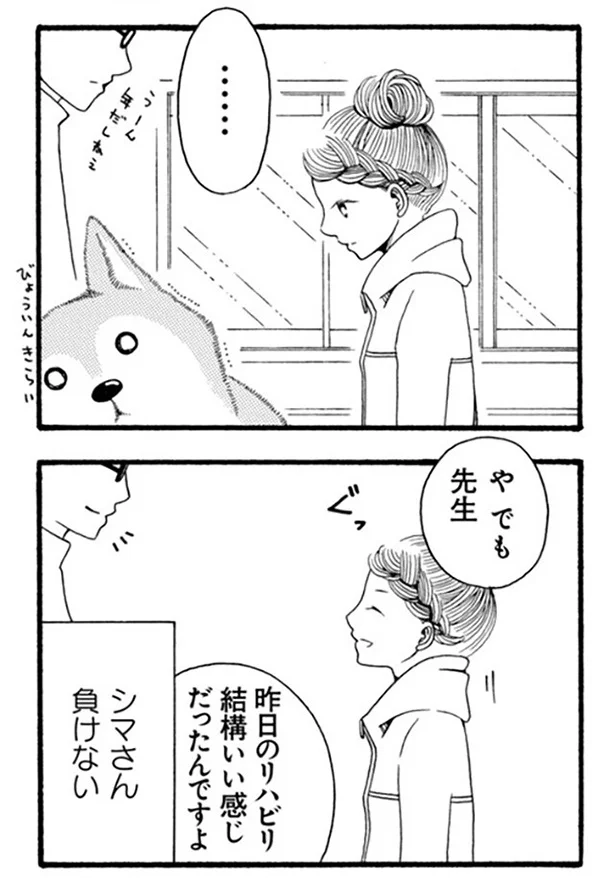 『96歳の柴犬ハチさんは、今日もお散歩しています。』より