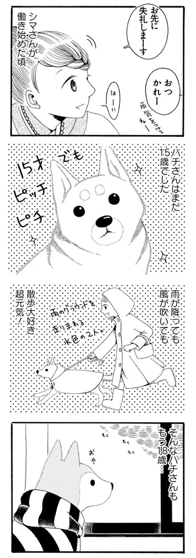 『96歳の柴犬ハチさんは、今日もお散歩しています。』より