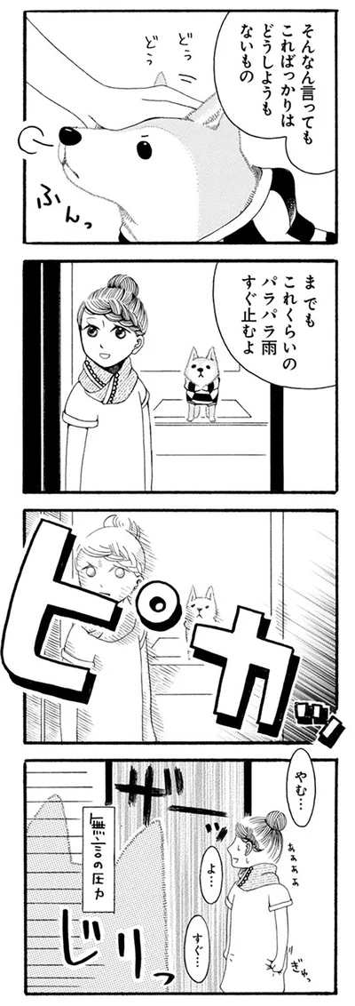 『96歳の柴犬ハチさんは、今日もお散歩しています。』より