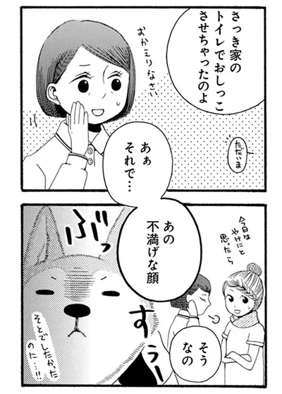 『96歳の柴犬ハチさんは、今日もお散歩しています。』より