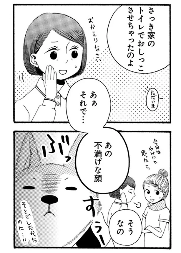 『96歳の柴犬ハチさんは、今日もお散歩しています。』より