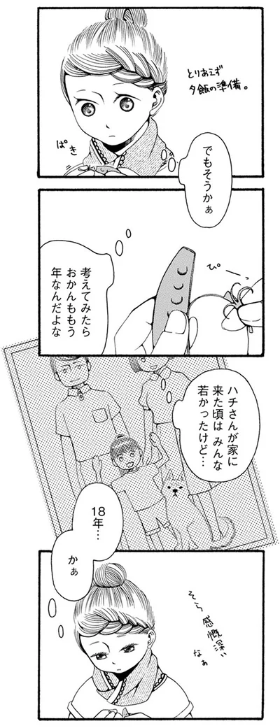 『96歳の柴犬ハチさんは、今日もお散歩しています。』より