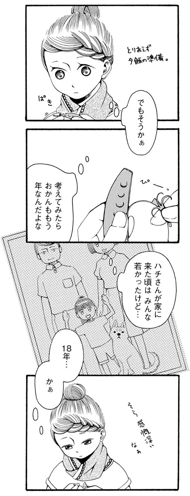『96歳の柴犬ハチさんは、今日もお散歩しています。』より