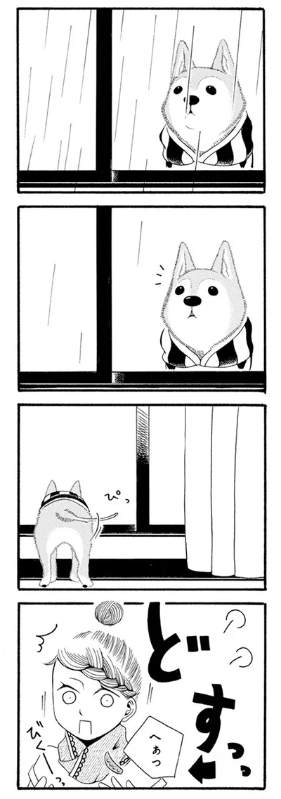 『96歳の柴犬ハチさんは、今日もお散歩しています。』より