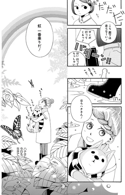 『96歳の柴犬ハチさんは、今日もお散歩しています。』より