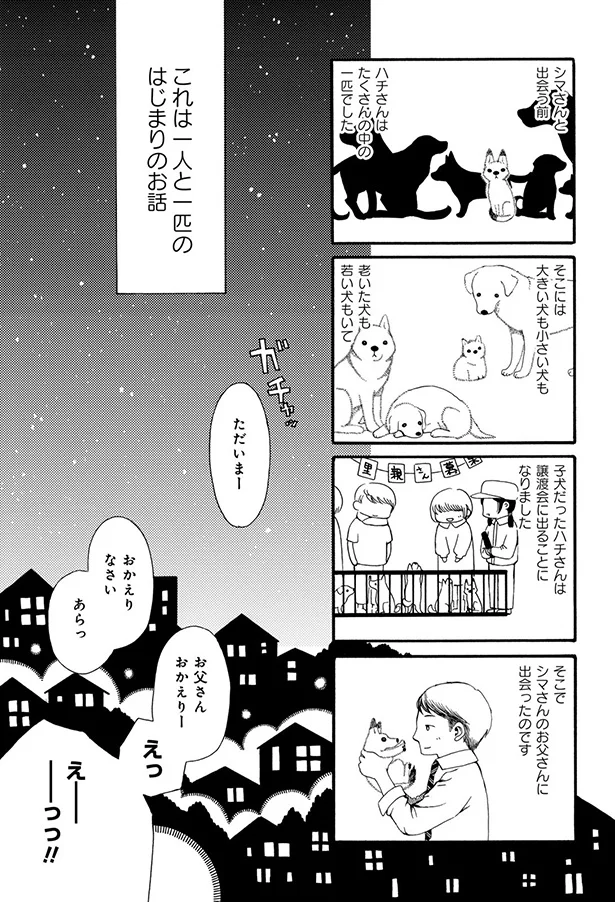 『96歳の柴犬ハチさんは、今日もお散歩しています。』より