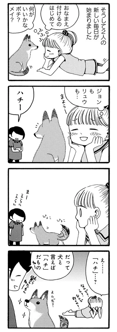 『96歳の柴犬ハチさんは、今日もお散歩しています。』より
