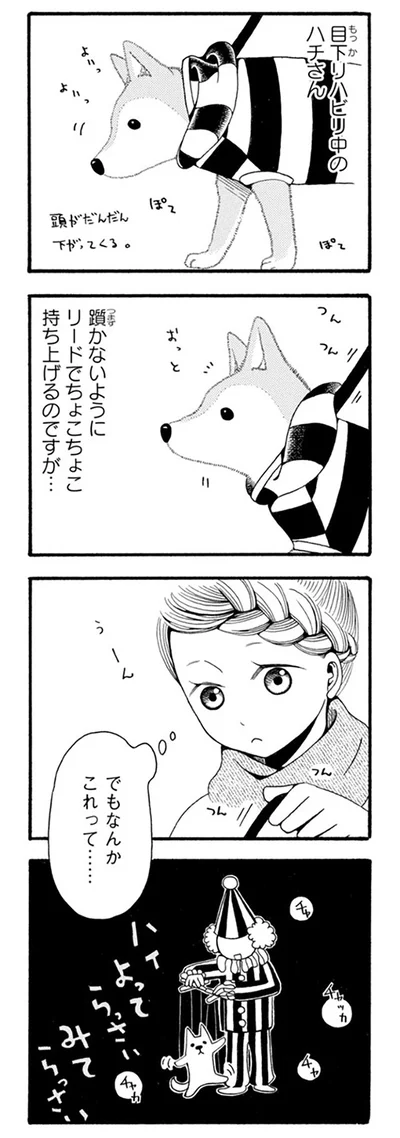 『96歳の柴犬ハチさんは、今日もお散歩しています。』より